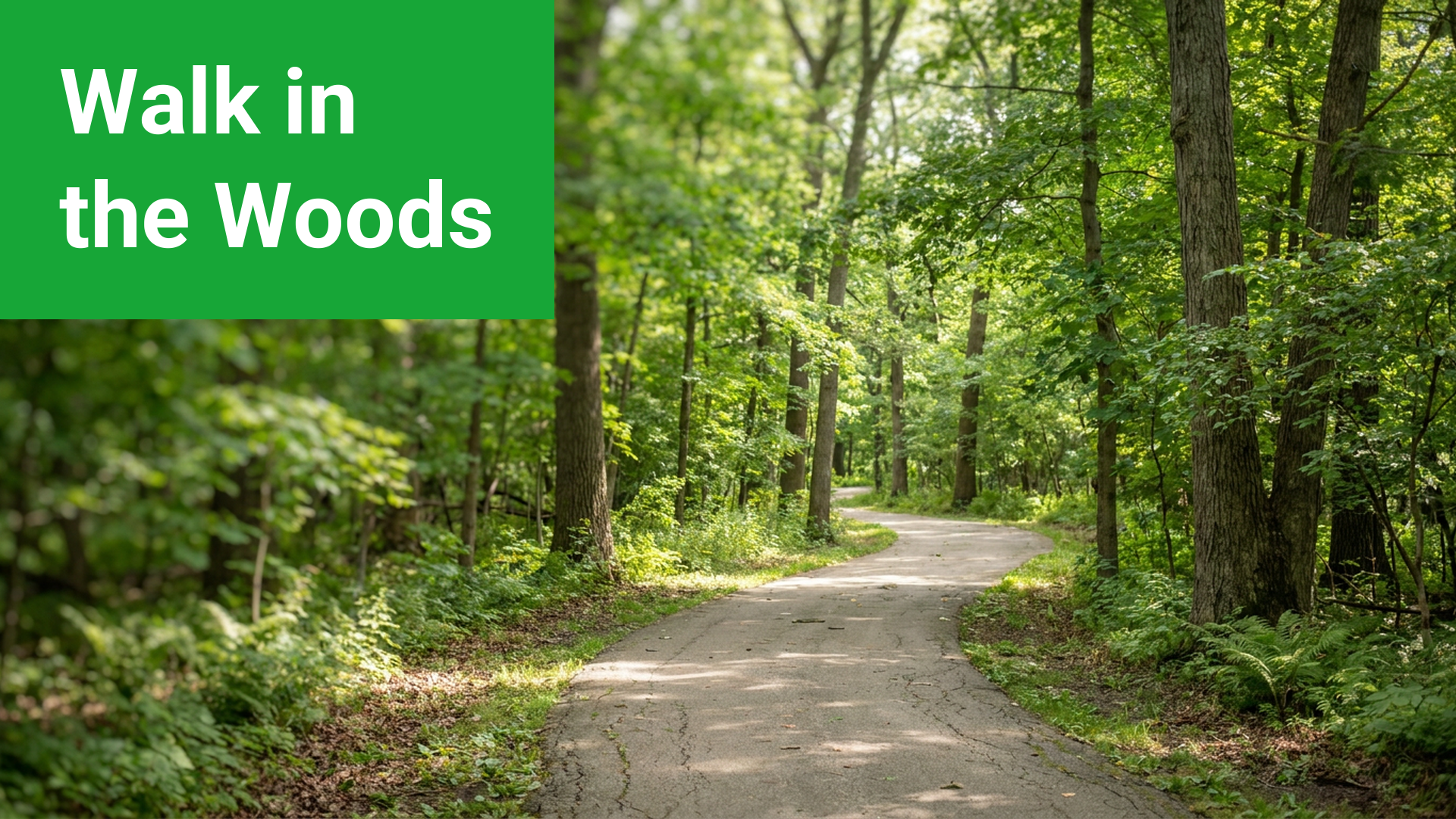 Walk in the Woods